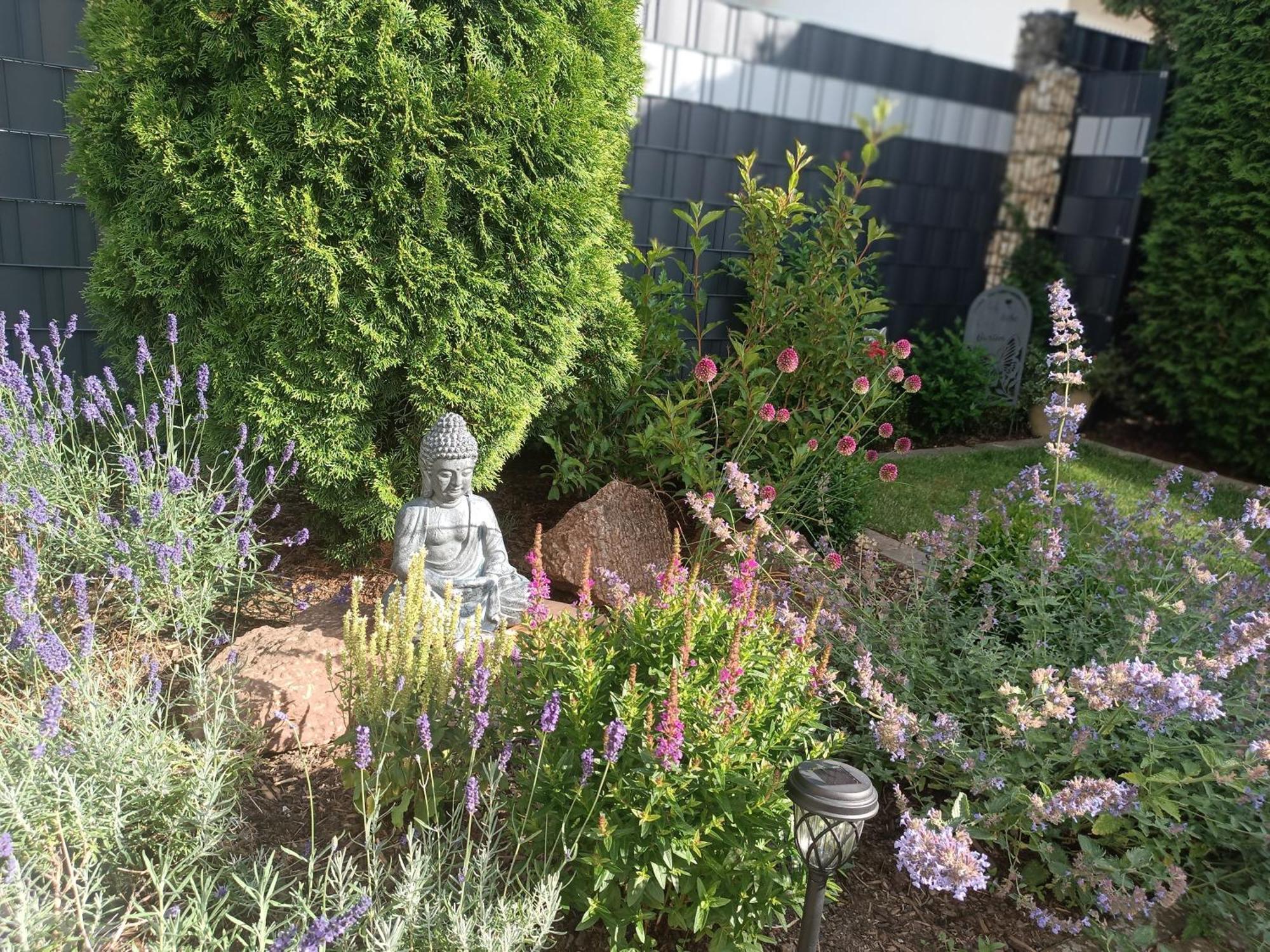 Ferienwohnung Sonnenblick Und Relax Sundern Exterior foto